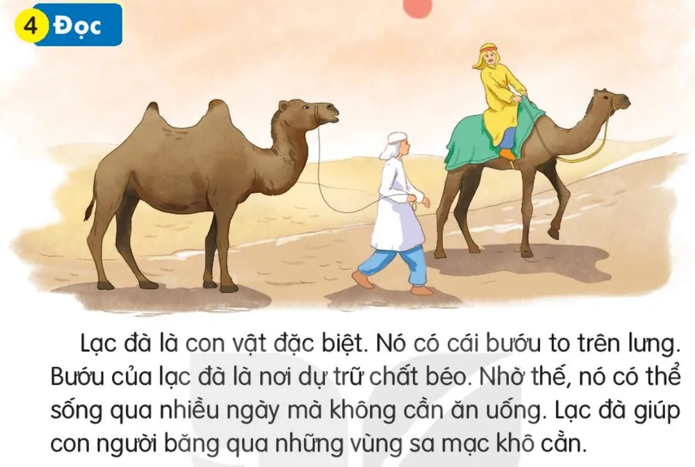 Đọc
