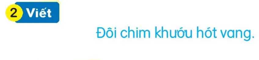 Viết
