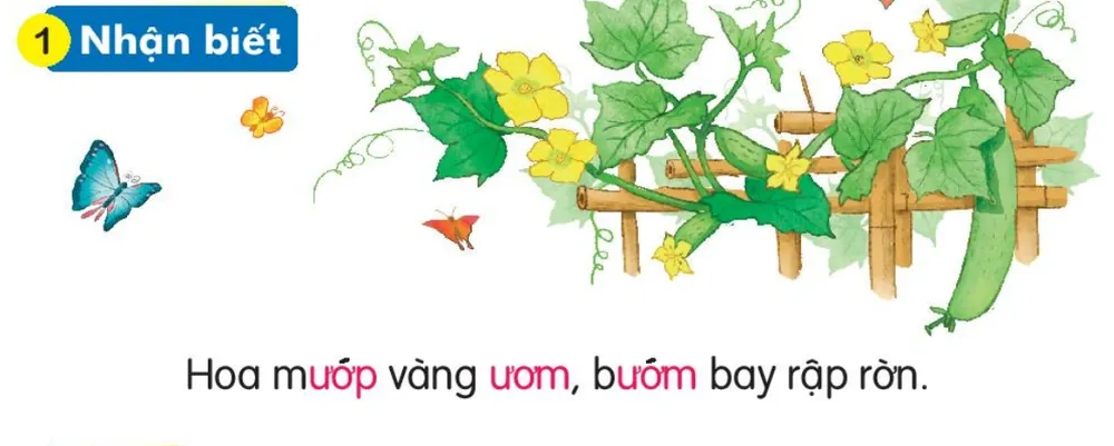 giàn mướp hoa vàng, bướm bay quanh. Câu dưới tranh: "Hoa mướp vàng ươm, bướm bay rập rờn."