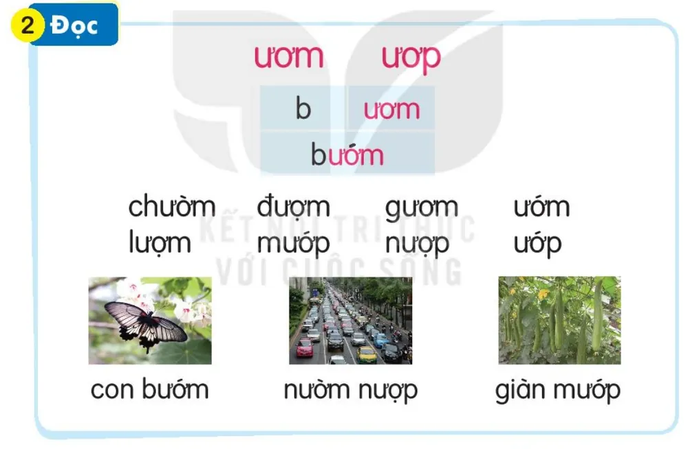 Đọc