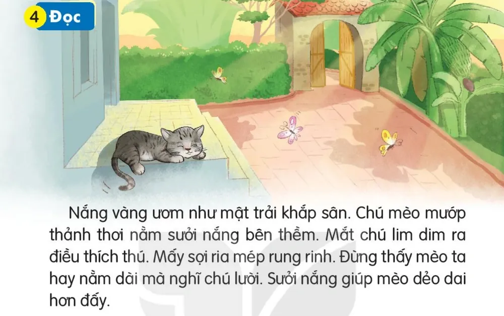 Đọc