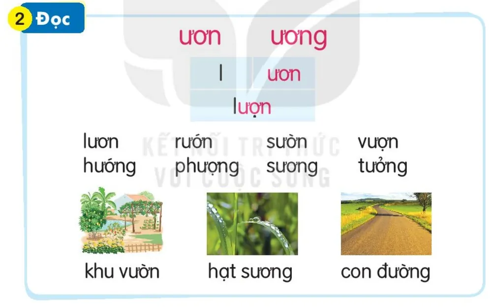 Đọc