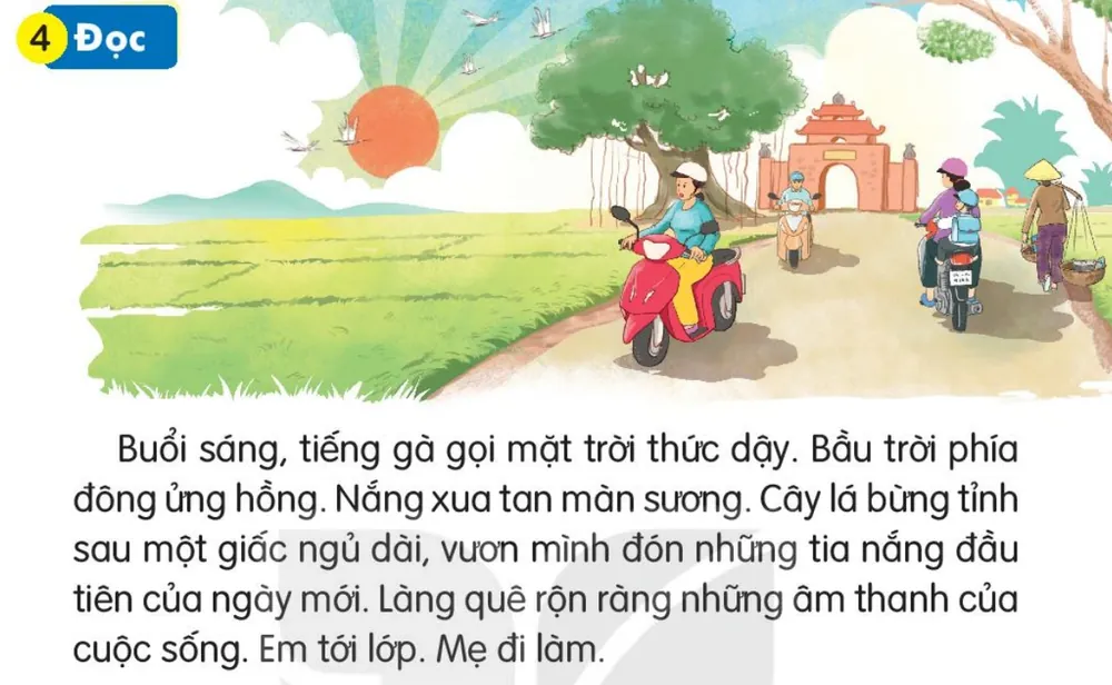 Đọc