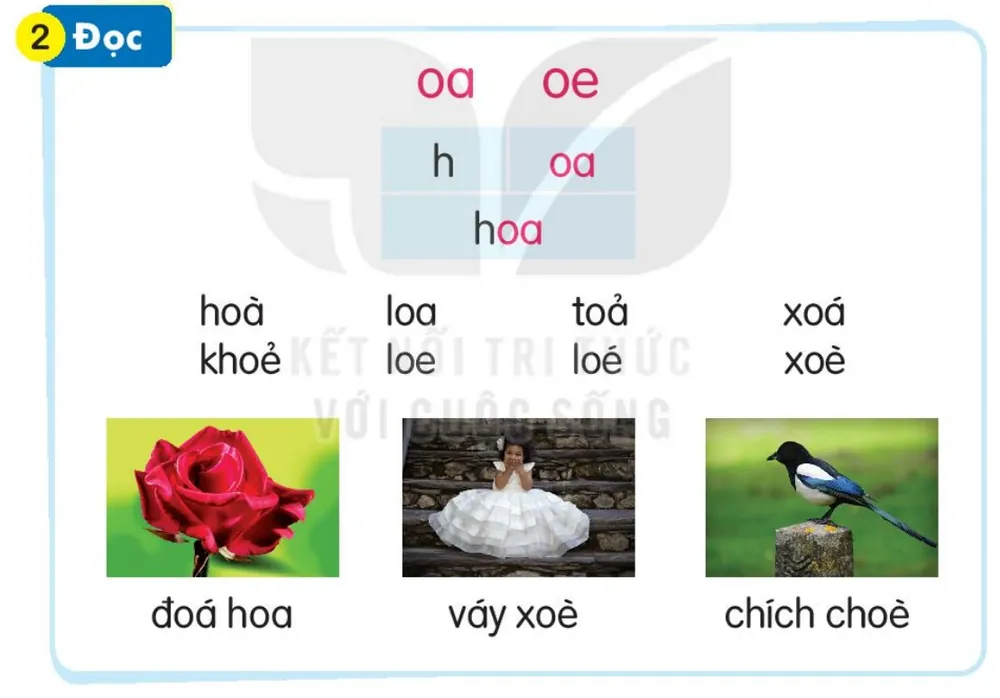 Đọc