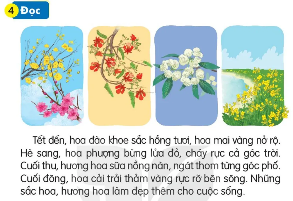 Đọc