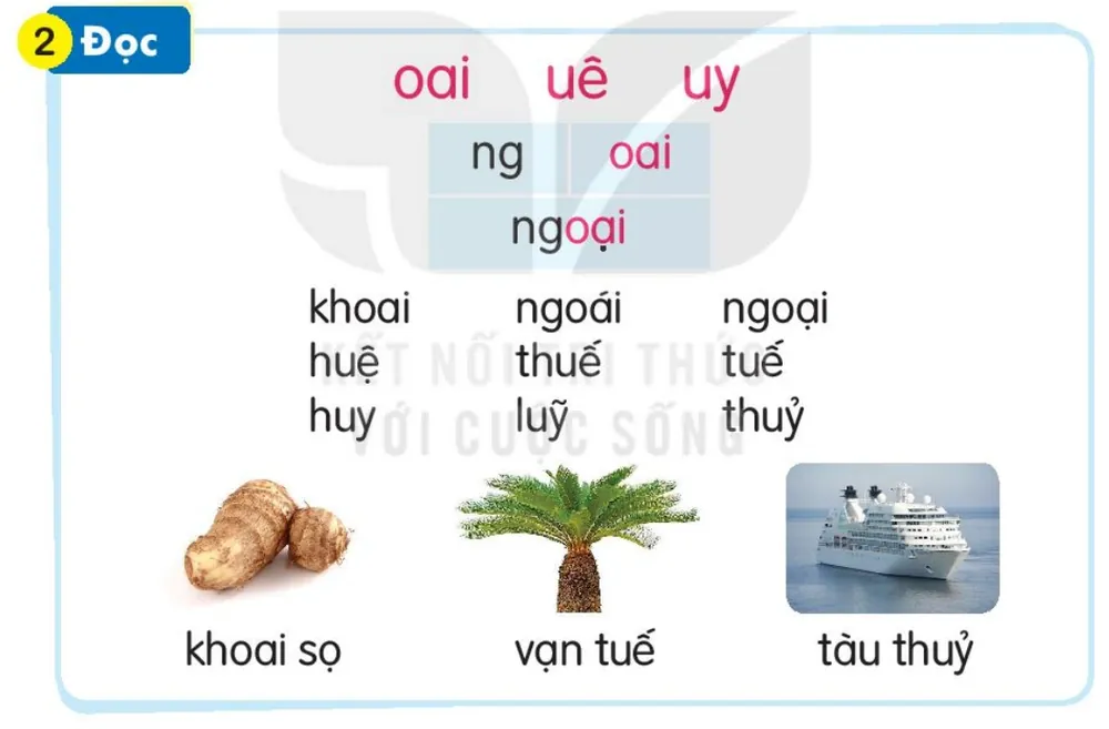 Đọc
