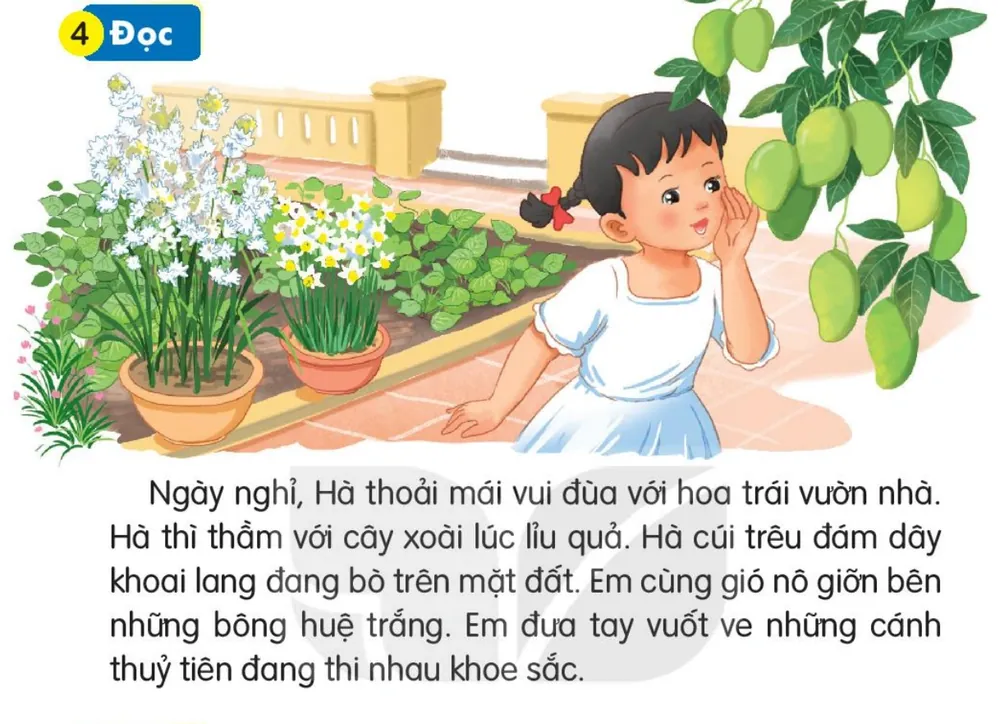 Đọc