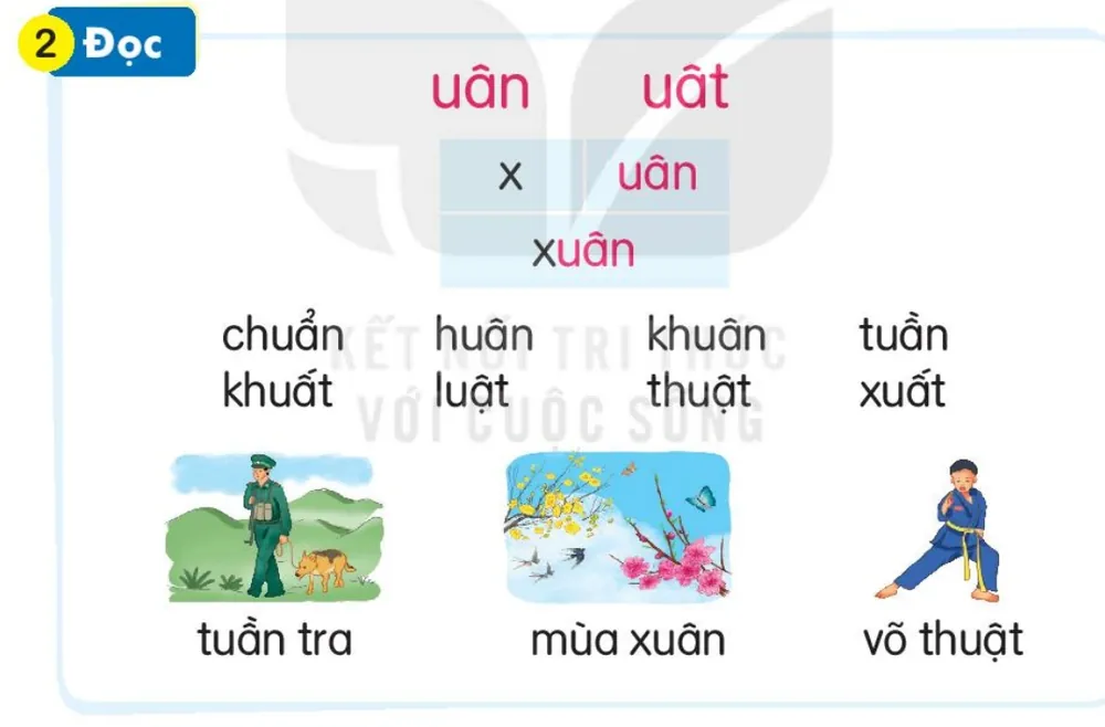 Đọc