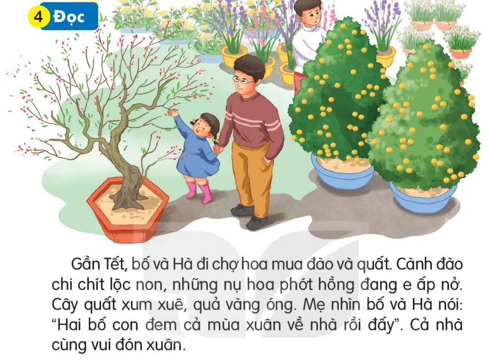 Đọc