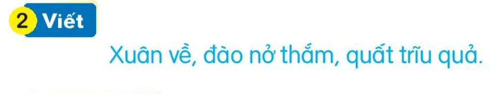 Viết