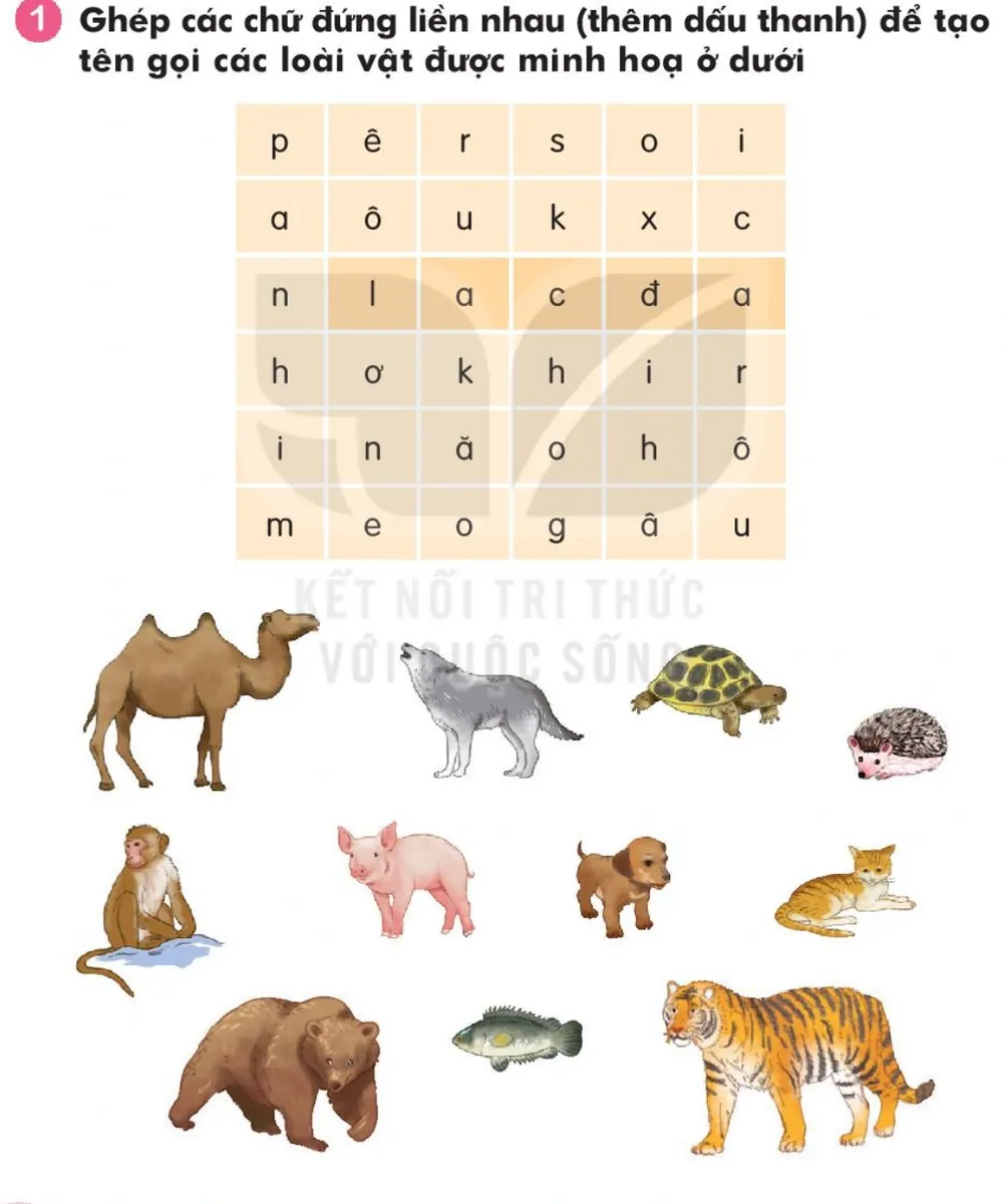 lạc đà, sói, rùa, nhím, khỉ, lợn, chó, mèo, gấu, cá, hổ.