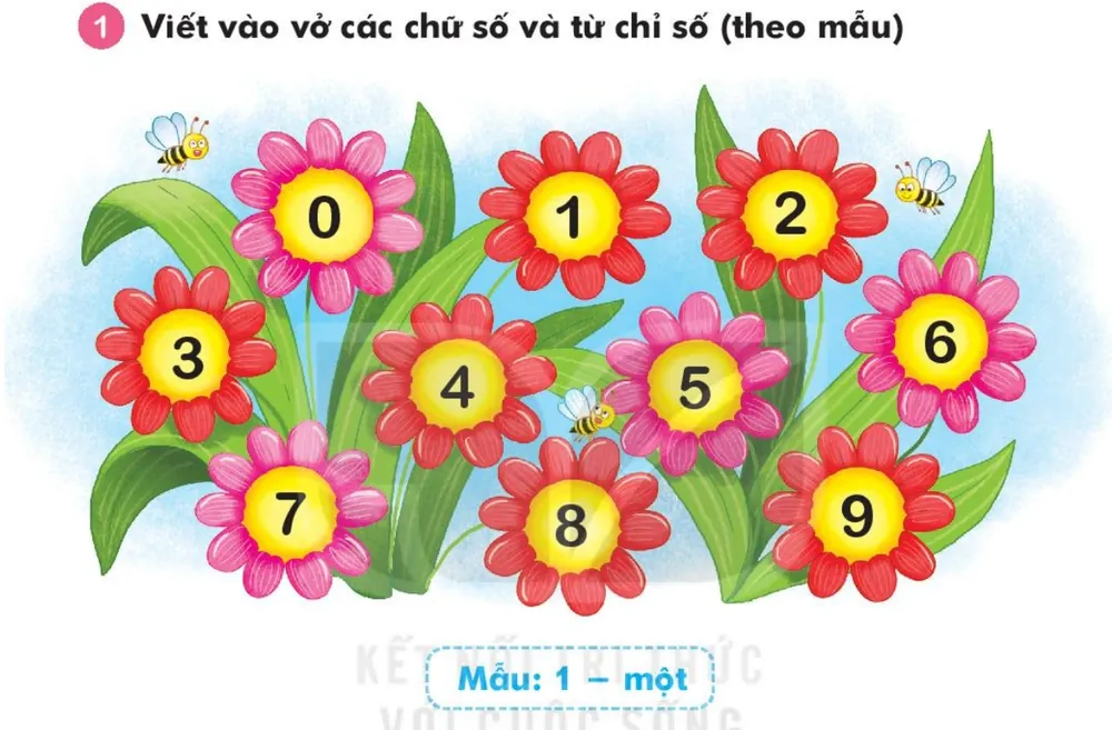 những bông hoa mang các chữ số 0, 1, 2, 3, 4, 5, 6, 7, 8, 9.
