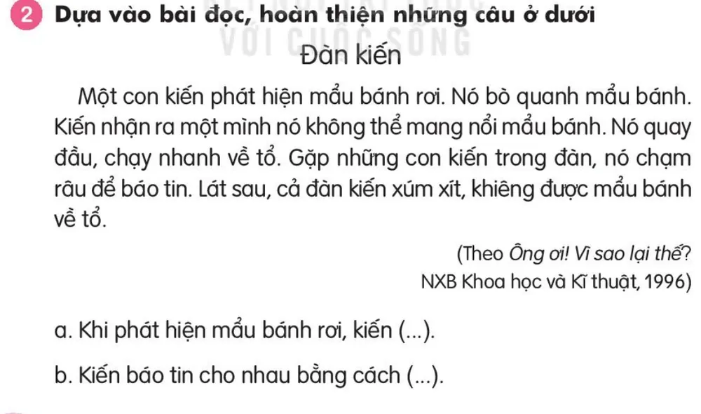 Dựa vào bài đọc, hoàn thiện những câu ở dưới