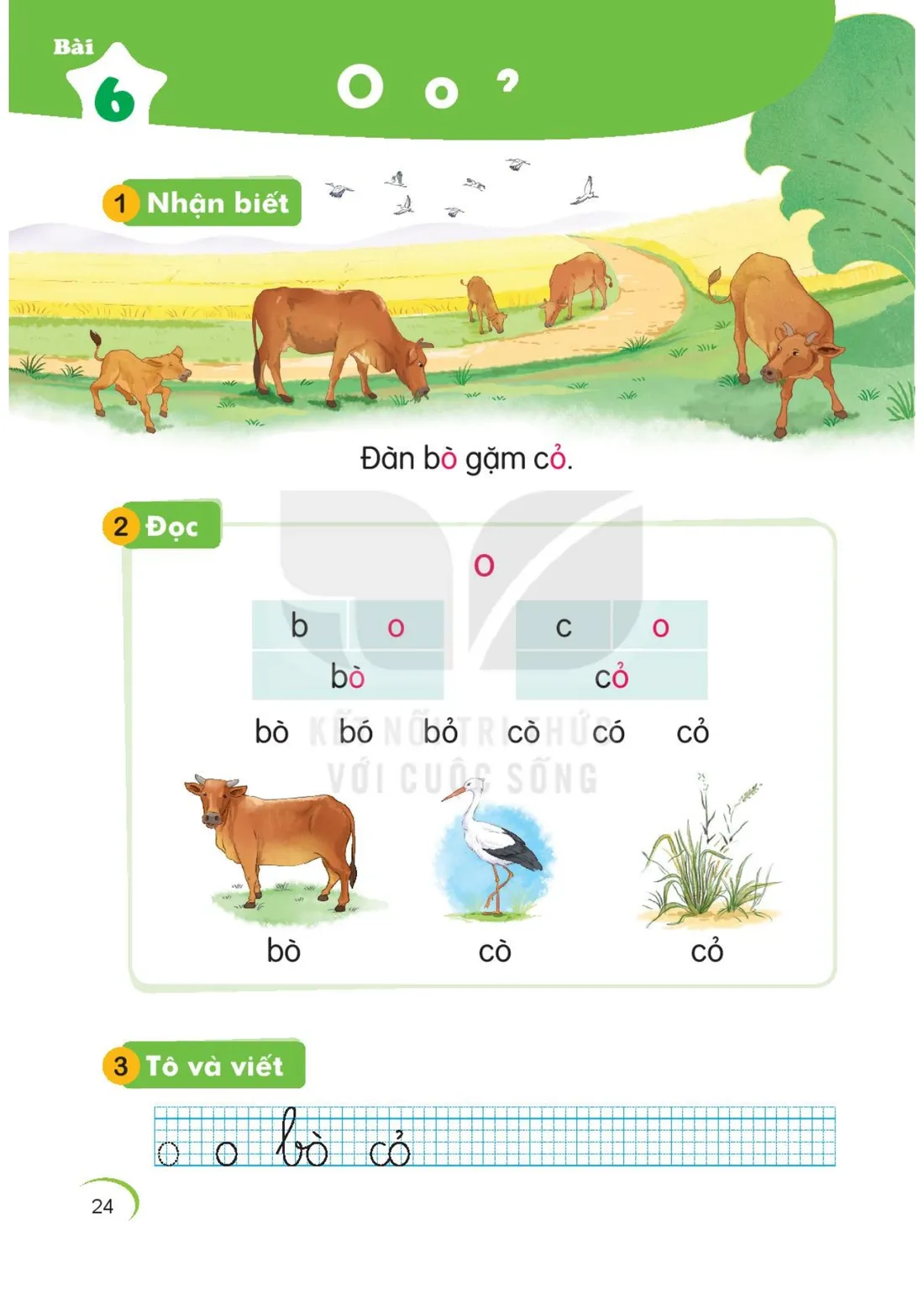 Trang 24 — Bài 6. O o, dấu hỏi