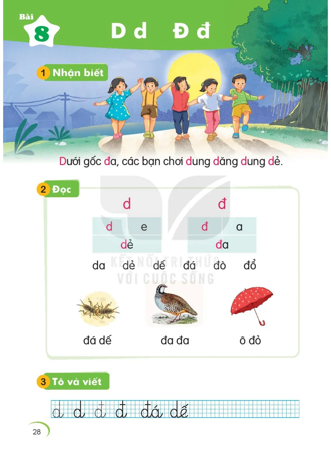Trang 28 — Bài 8. D d Đ đ