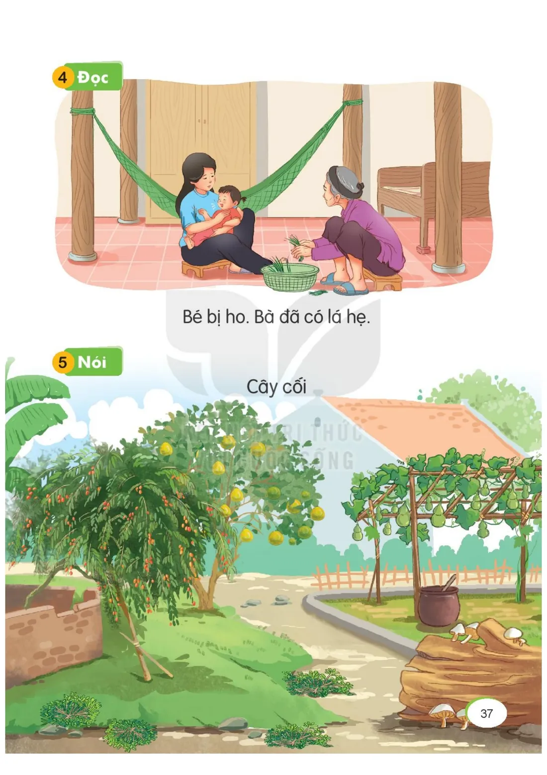 Trang 37 — Bài 12. H h L l