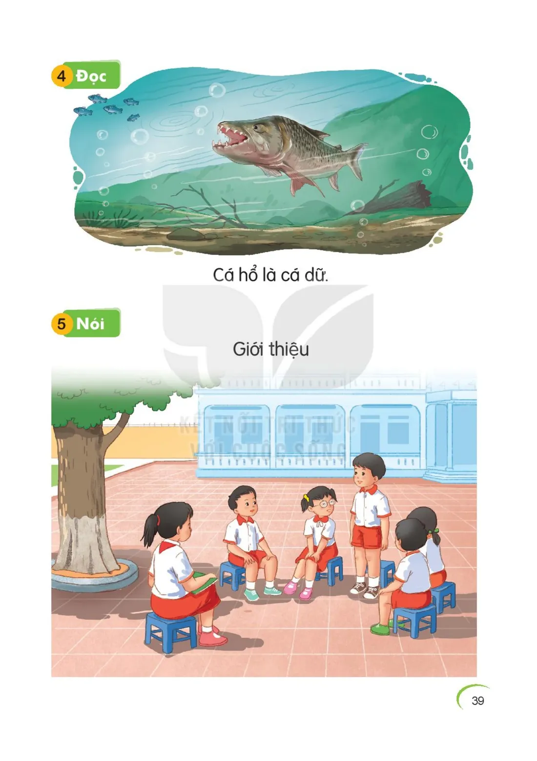 Trang 39 — Bài 13. U u Ư ư