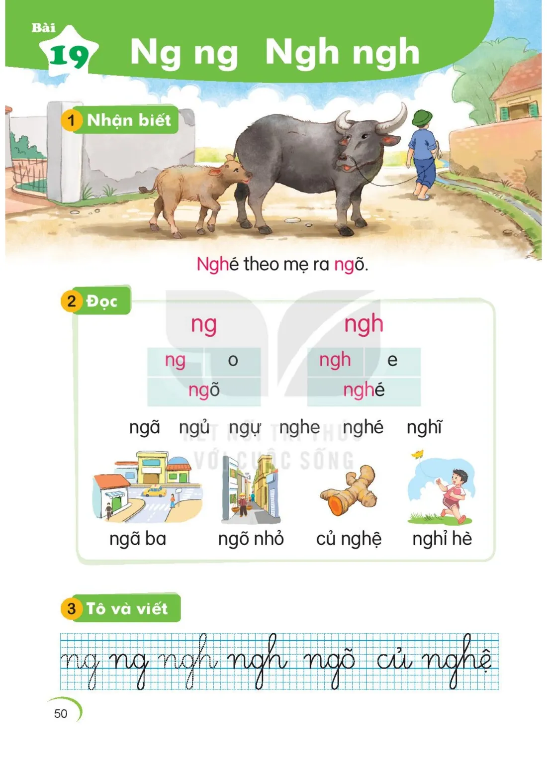 Trang 50 — Bài 19. Ng ng Ngh ngh