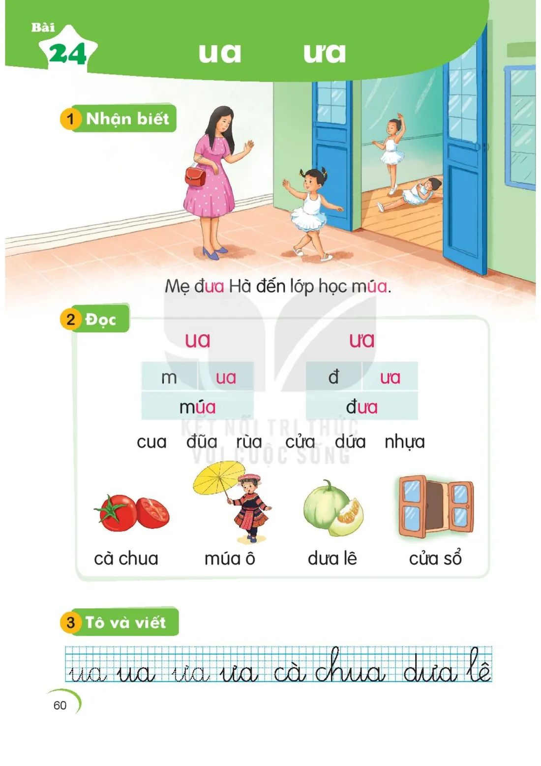 Trang 60 — Bài 24. ua ưa