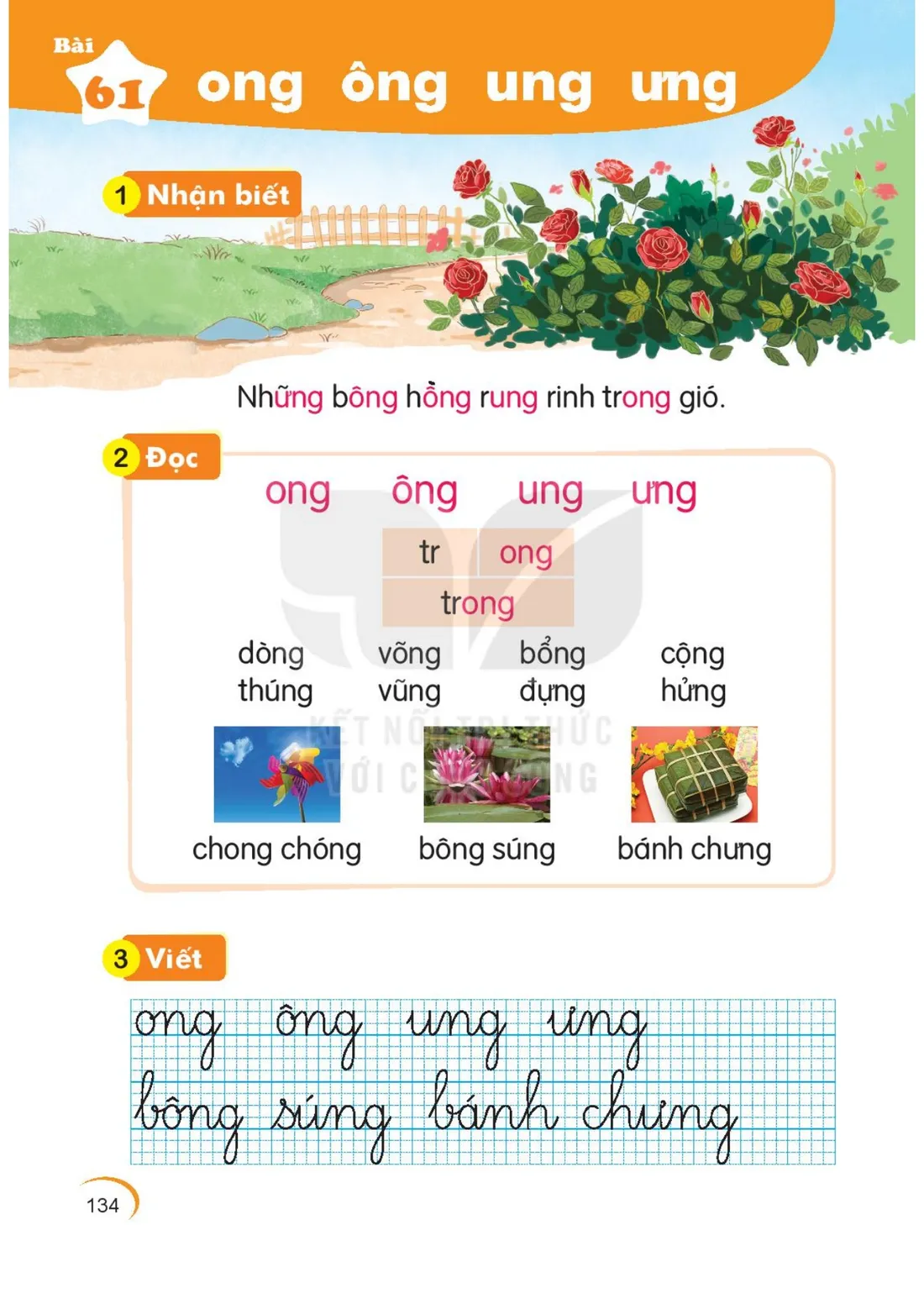 Trang 134 — Bài 61. ong ông ung ưng