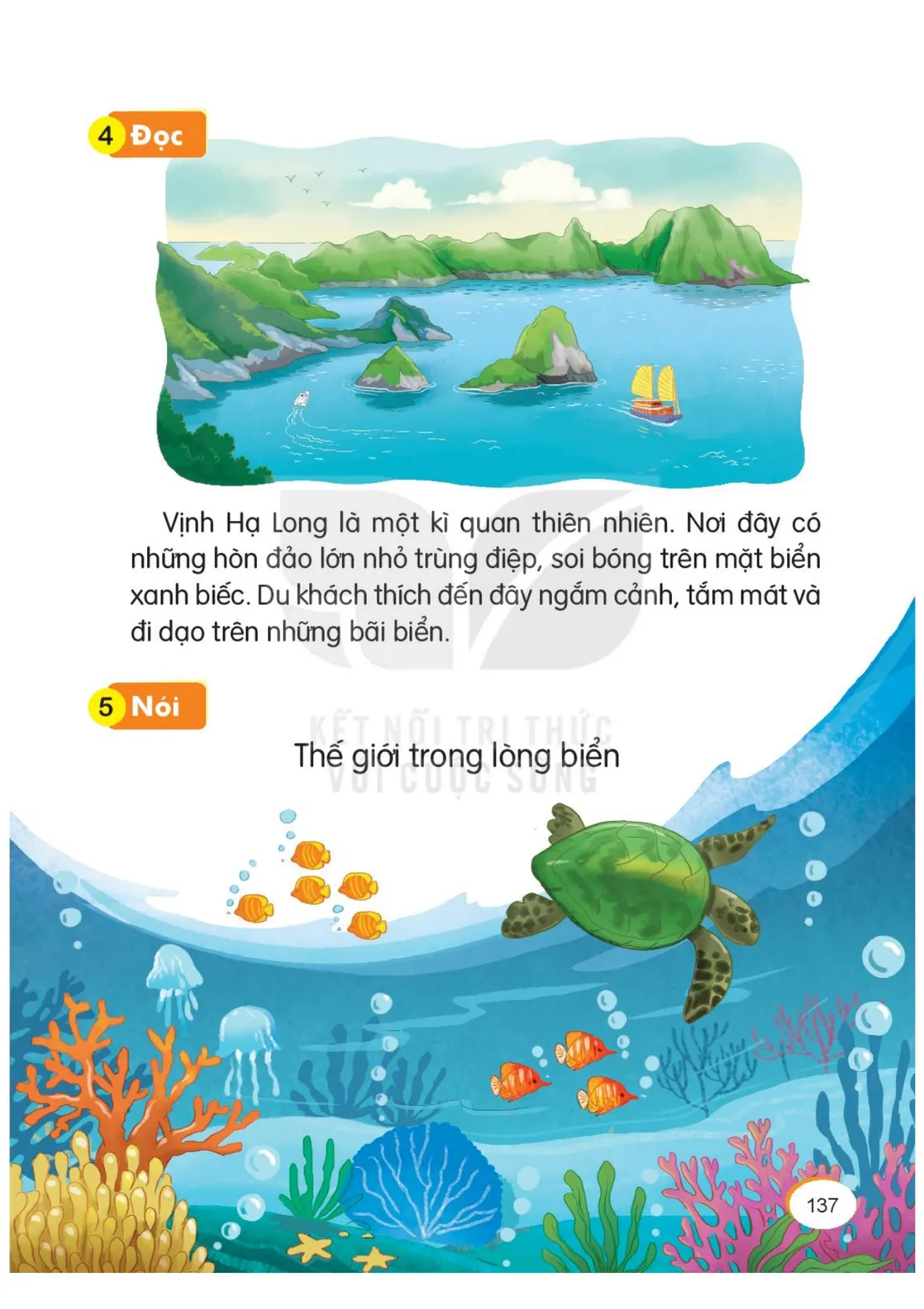Trang 137 — Bài 62. iêc iên iêp