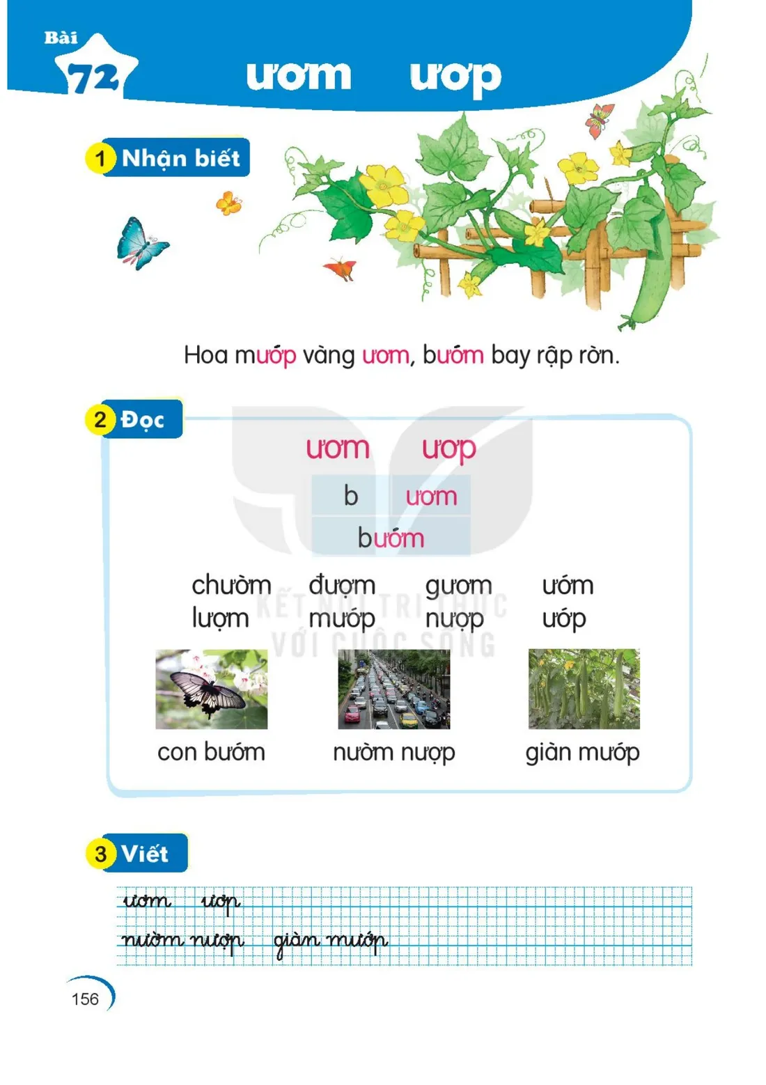 Trang 156 — Bài 72. ươm ươp