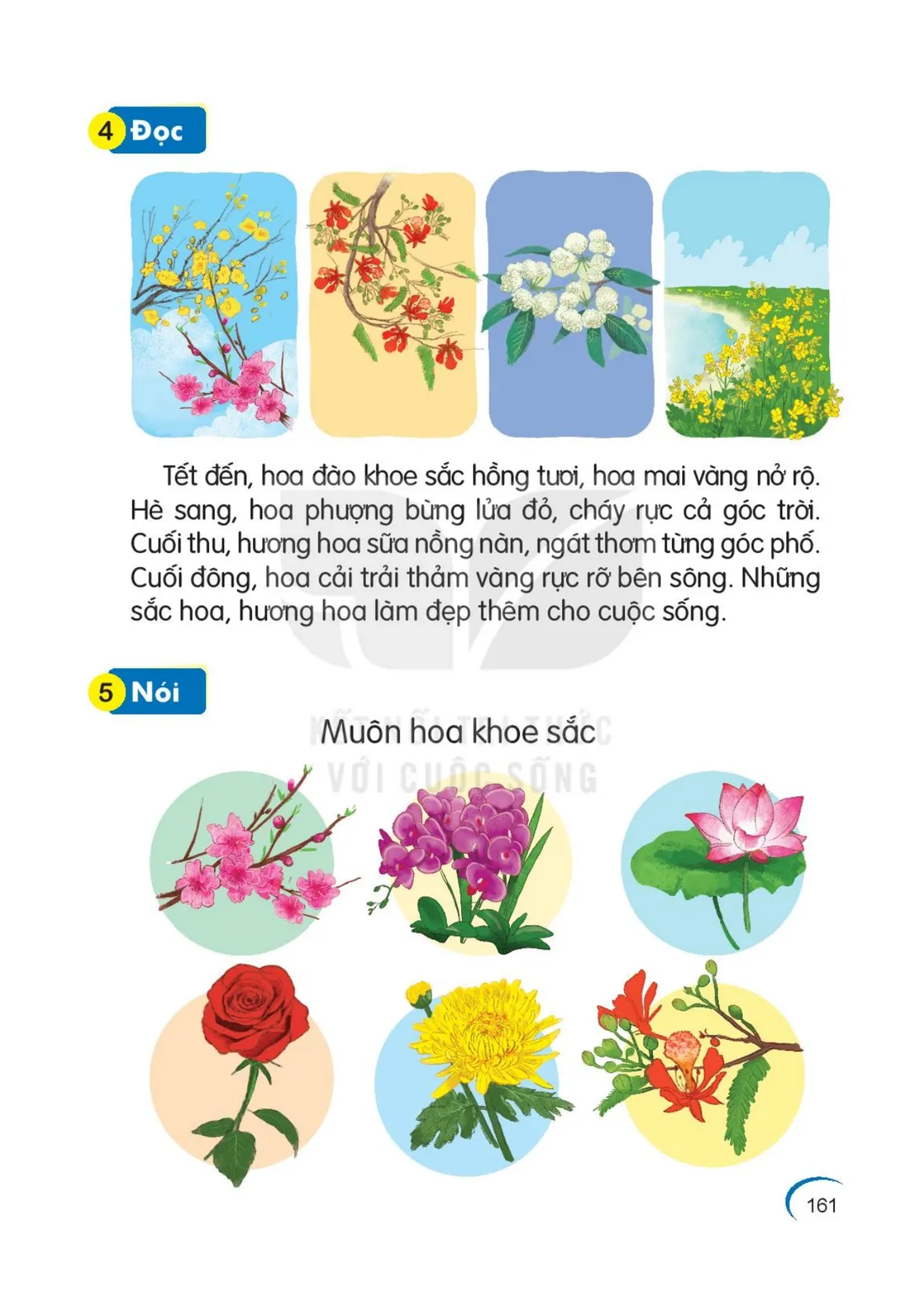 Trang 161 — Bài 74. oa oe